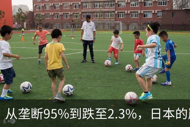 从垄断95%到跌至2.3%，日本的崩溃循环，中国亲手按下终止键