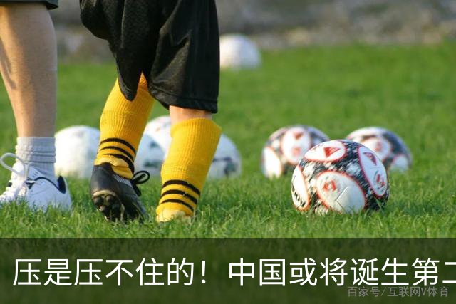 压是压不住的！中国或将诞生第二个华为
