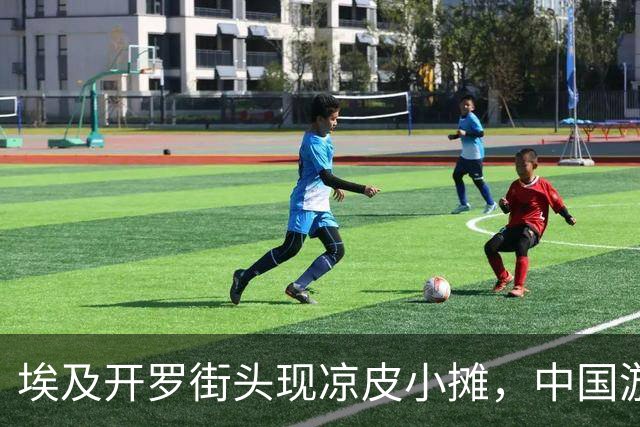 埃及开罗街头现凉皮小摊，中国游客称一碗16元，能品尝地道西北味，老板：刚开业不久，最多一天卖了70份