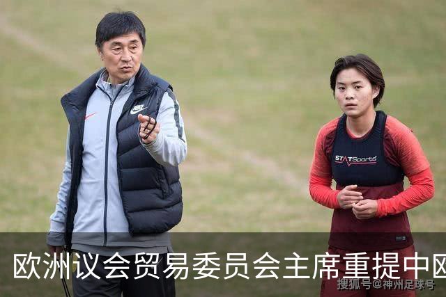 欧洲议会贸易委员会主席重提中欧贸易协定：我们需要一份更全面协议，有必要重温一下