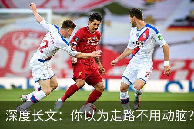 深度长文：你以为走路不用动脑？你的身体一直在实时解方程！
