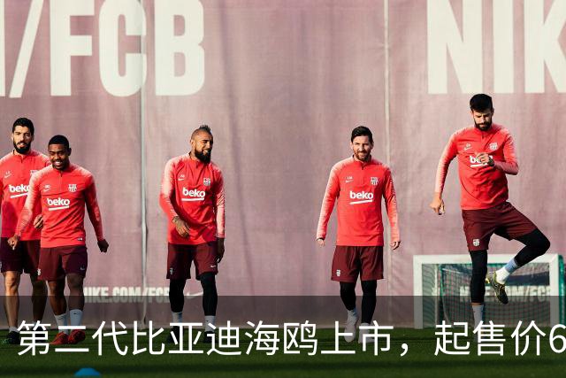 第二代比亚迪海鸥上市，起售价6.29万起！正面硬刚吉利星愿？